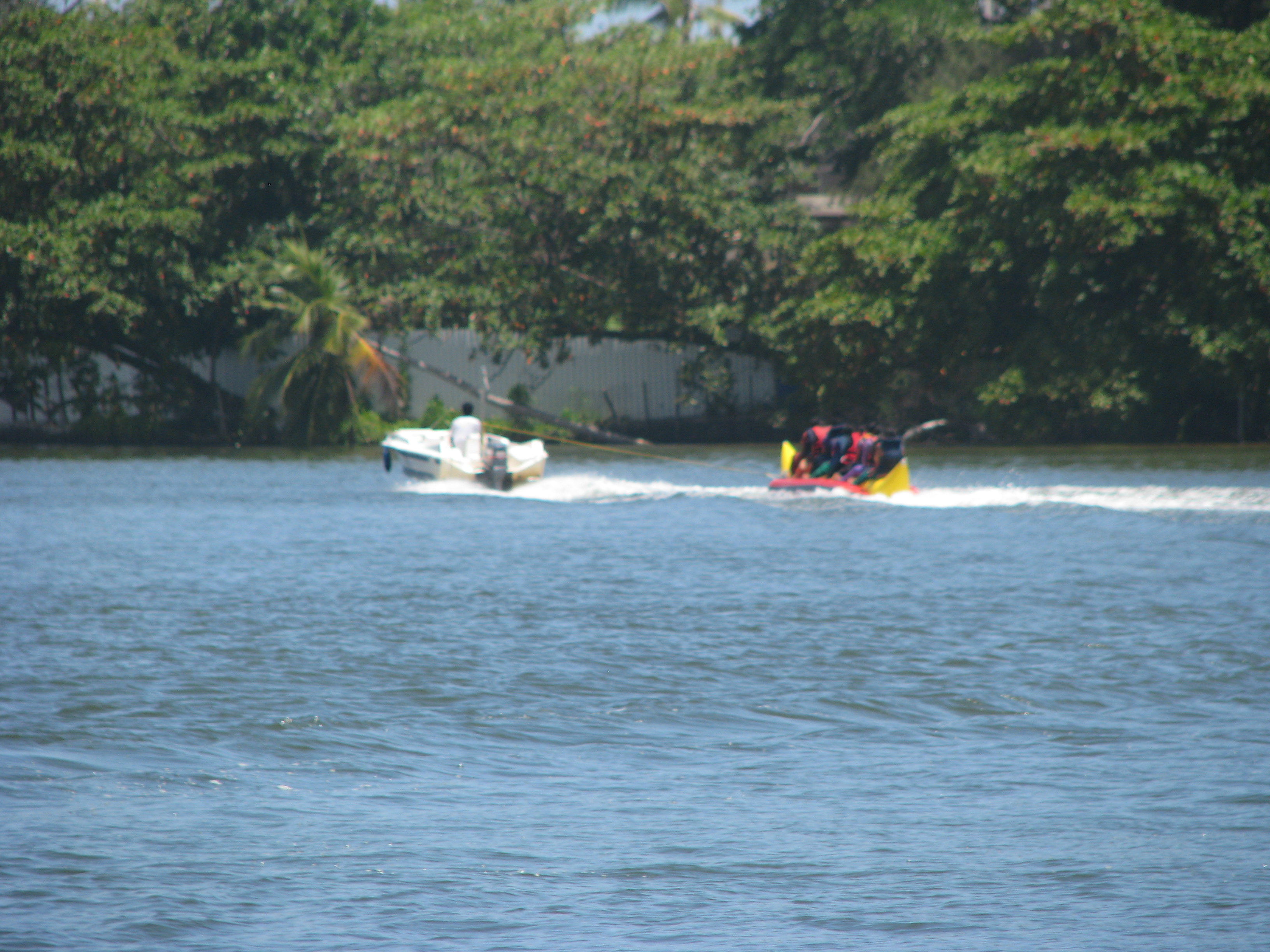 IMG 9589